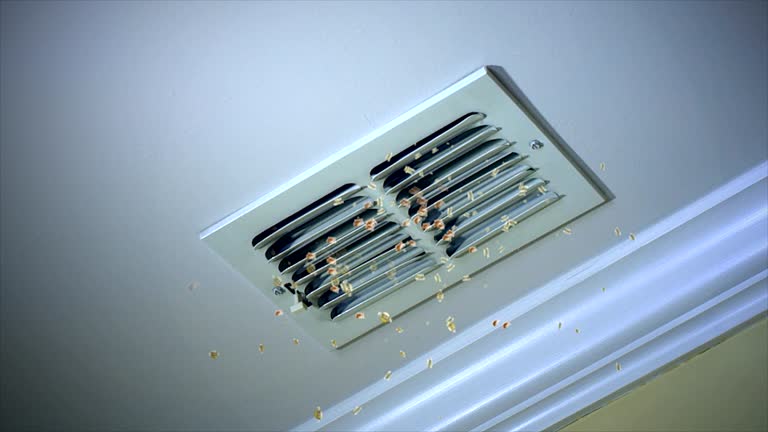 Best Affordable HVAC Duct Cleaning  in Mars, PA
